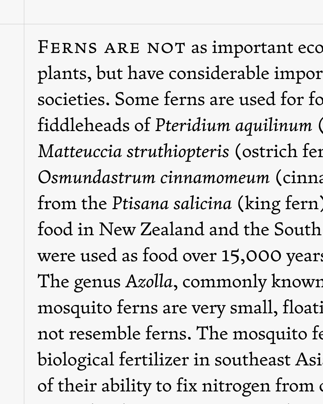 Fern Text and Micro